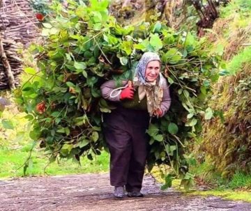 mevlutakkoyun34's tweet photo. Köyde yaşayan bir kadın https://t.co/SjVw41WesB