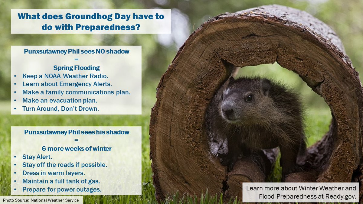 What does Groundhog Day have to do with Preparedness? 
Punxsutawney Phil sees NO shadow = Spring Flooding. Keep a NOAA Weather Radio. Learn about Emergency Alerts. Make a family communications plan. Make an evacuation plan. 
Turn Around, Don’t Drown. Punxsutawney Phil sees his shadow =6 more weeks of winter
Stay Alert. Stay off the roads if possible. Dress in warm layers. have a full tank of gas. Prep 4 power outages