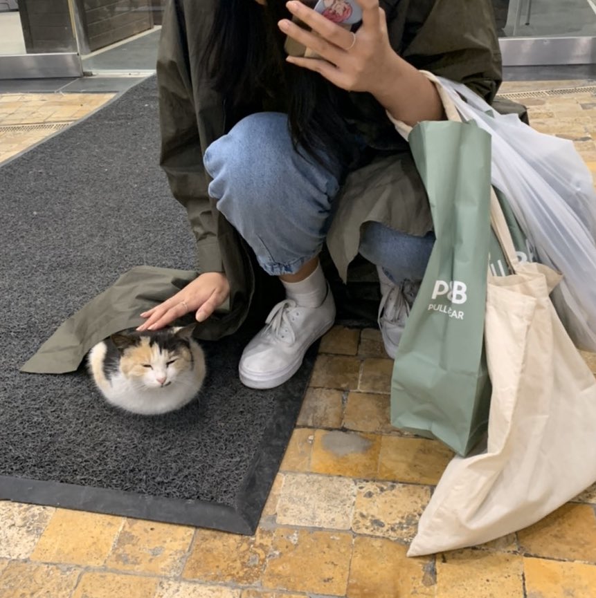 b✿ tweet media