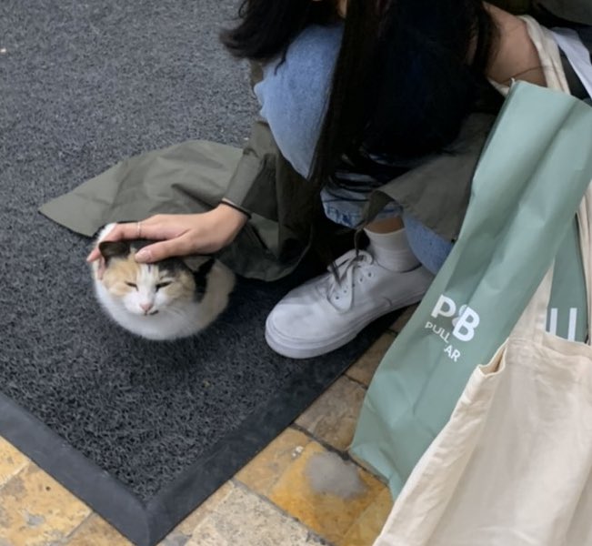 เจอน้องนอนหนาวขดอยู่หน้าห้างเลยเอาเสื้อไปห่มให้ㅜㅜ อยากอุ้มกลับบ้านมาก