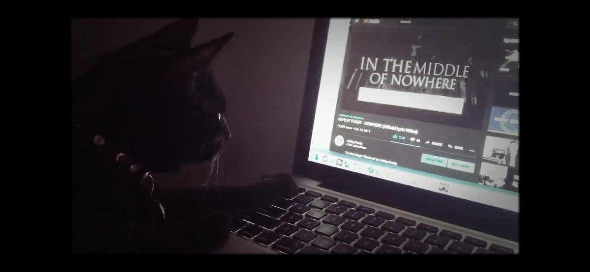 deviacja's tweet photo. Bądź jak Sparrow streamuj Nowhere

#StreamNowhereAP https://t.co/rlqBmJfj49