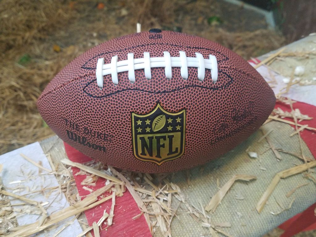 prim8rescue's tweet photo. #GiftoftheWeek In honor of #SuperBowl2020, we've added footballs to our Amazon Wish List!
https://t.co/korJyQZ3yX https://t.co/U9uMMRO7e4