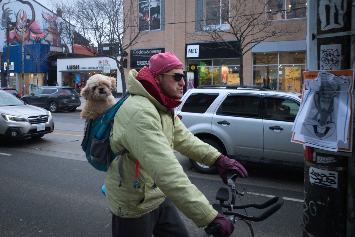 Cycledog. #Toronto #biketo #queenwest #chinatown #dog #canpubphoto