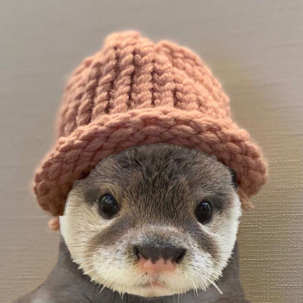 hckith's tweet image. Hello I have another announcement