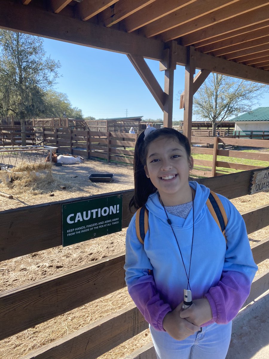 paola valcarcel tweet media