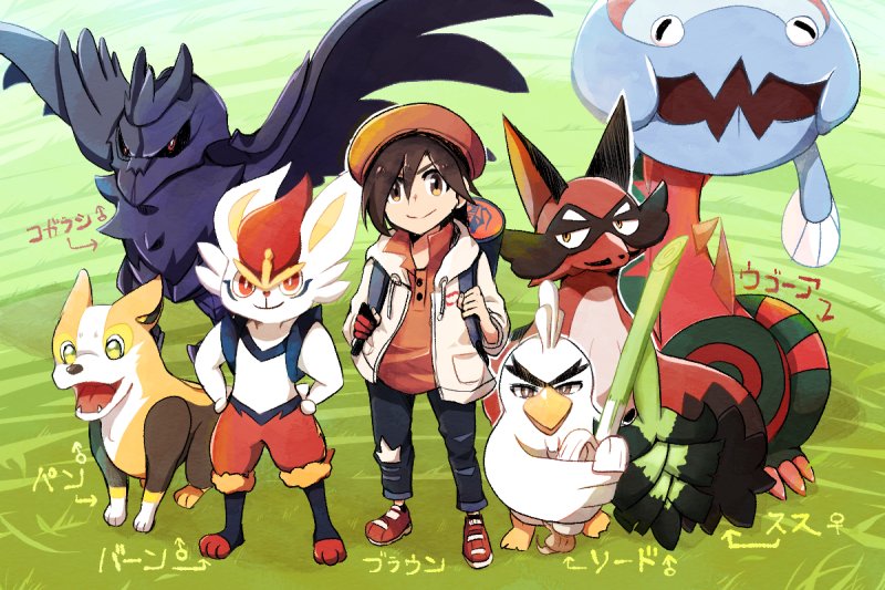 回る海星 ポケモン剣 殿堂入りパーティ絵