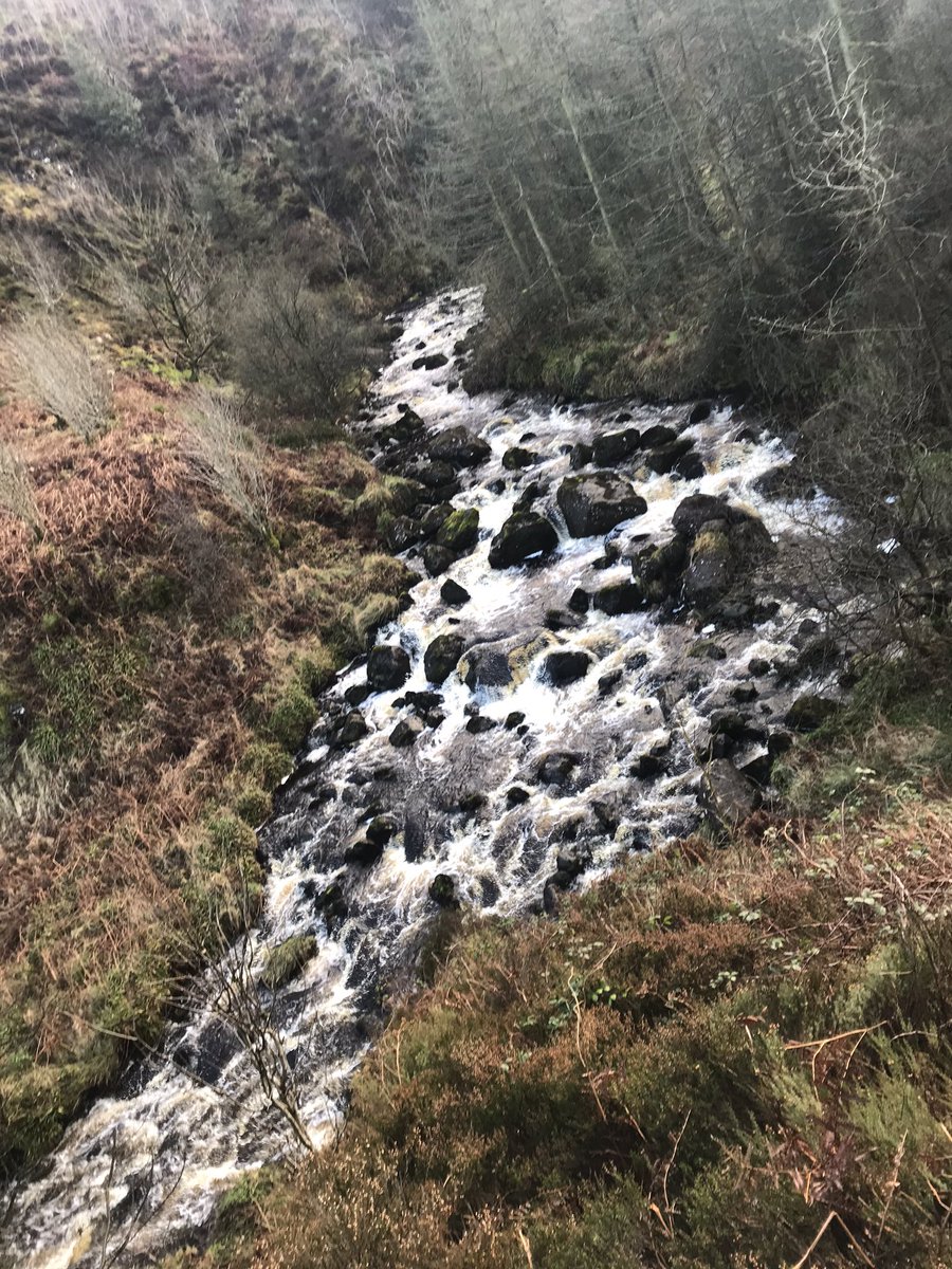 MckeeganClaire's tweet image. Sunday walk at the queen of the glens #Glenariff #GlensofAntrim 7500 steps 🥾 #resolutions2020