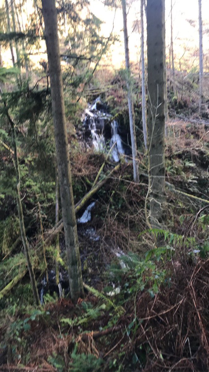 MckeeganClaire's tweet image. Sunday walk at the queen of the glens #Glenariff #GlensofAntrim 7500 steps 🥾 #resolutions2020