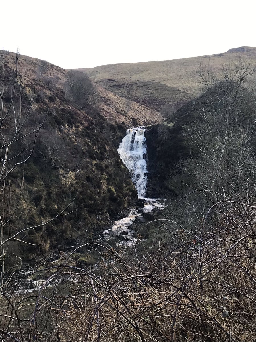 MckeeganClaire's tweet image. Sunday walk at the queen of the glens #Glenariff #GlensofAntrim 7500 steps 🥾 #resolutions2020