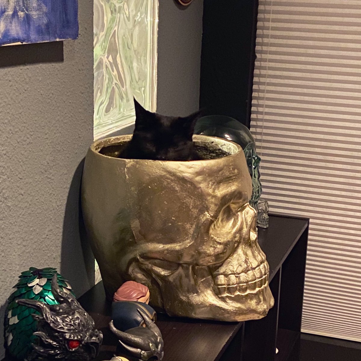 blueberry's head peeks out of the top of a large gold skull. her ears are just visible.