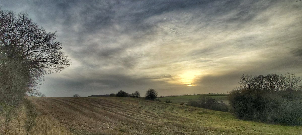 NickyLawImages's tweet photo. Today's walk. #LeedsCountryWay ๐พ๐พ https://t.co/p7e4FK5szH