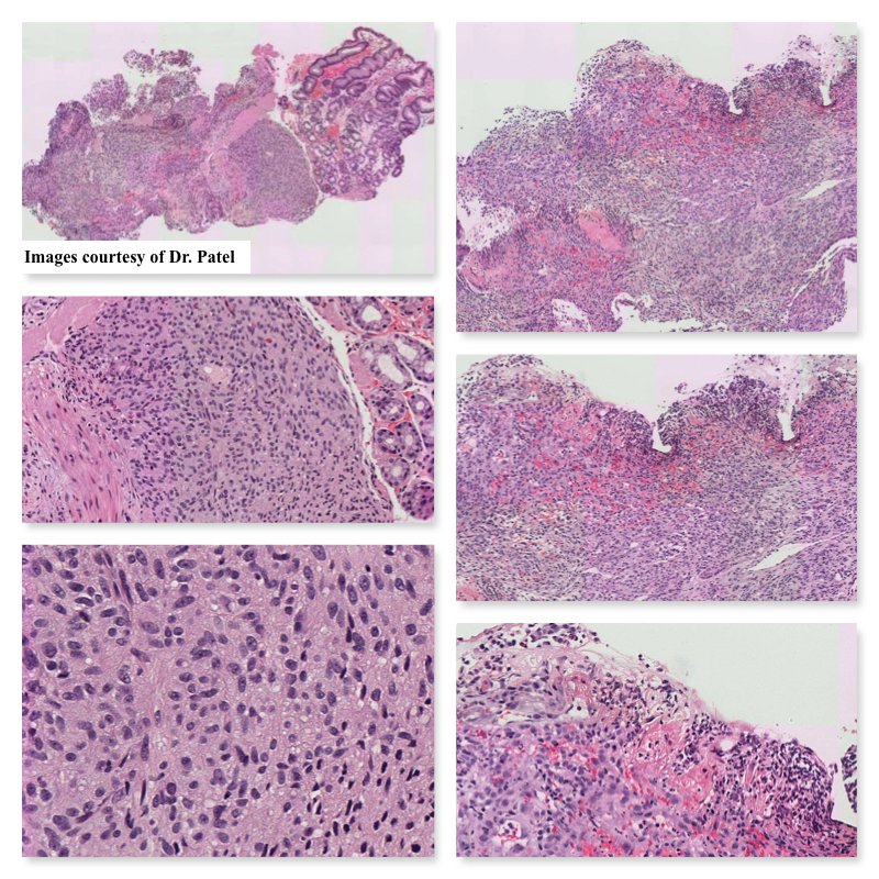 South Bay Pathology tweet media