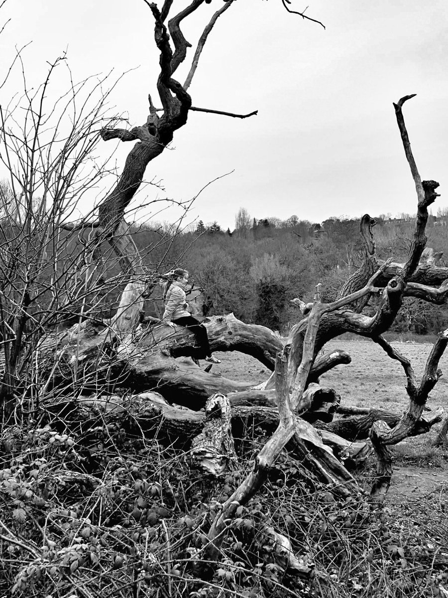 My kids' favourite playground since they were little. #playground #forest #park #Heath #Children #childrenplay #play #childhood #Memories #makingmemories #nature #photograghy #bnwphotography #bnw_captures #bnw #bnw_life #Monochrome #blackandwhitephotography