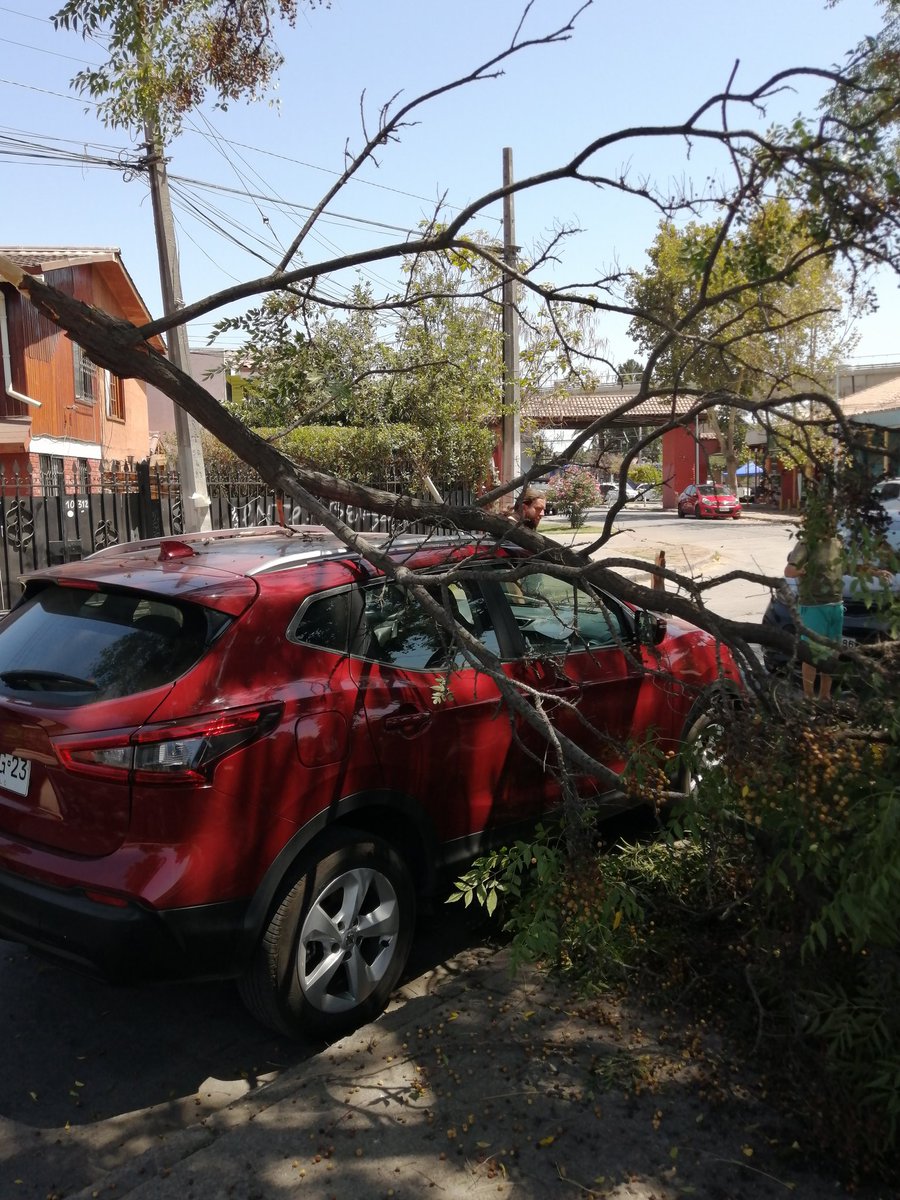 ArcosNorte's tweet photo. Seguimos con problemas con nuestros POCOS  árboles en la plaza central,  menos mal que no paso a mayores @Ntapiagurto  @MuniLaFlorida @rodolfocarter  #VILLALOSARCOS https://t.co/2oAJjaDQh1