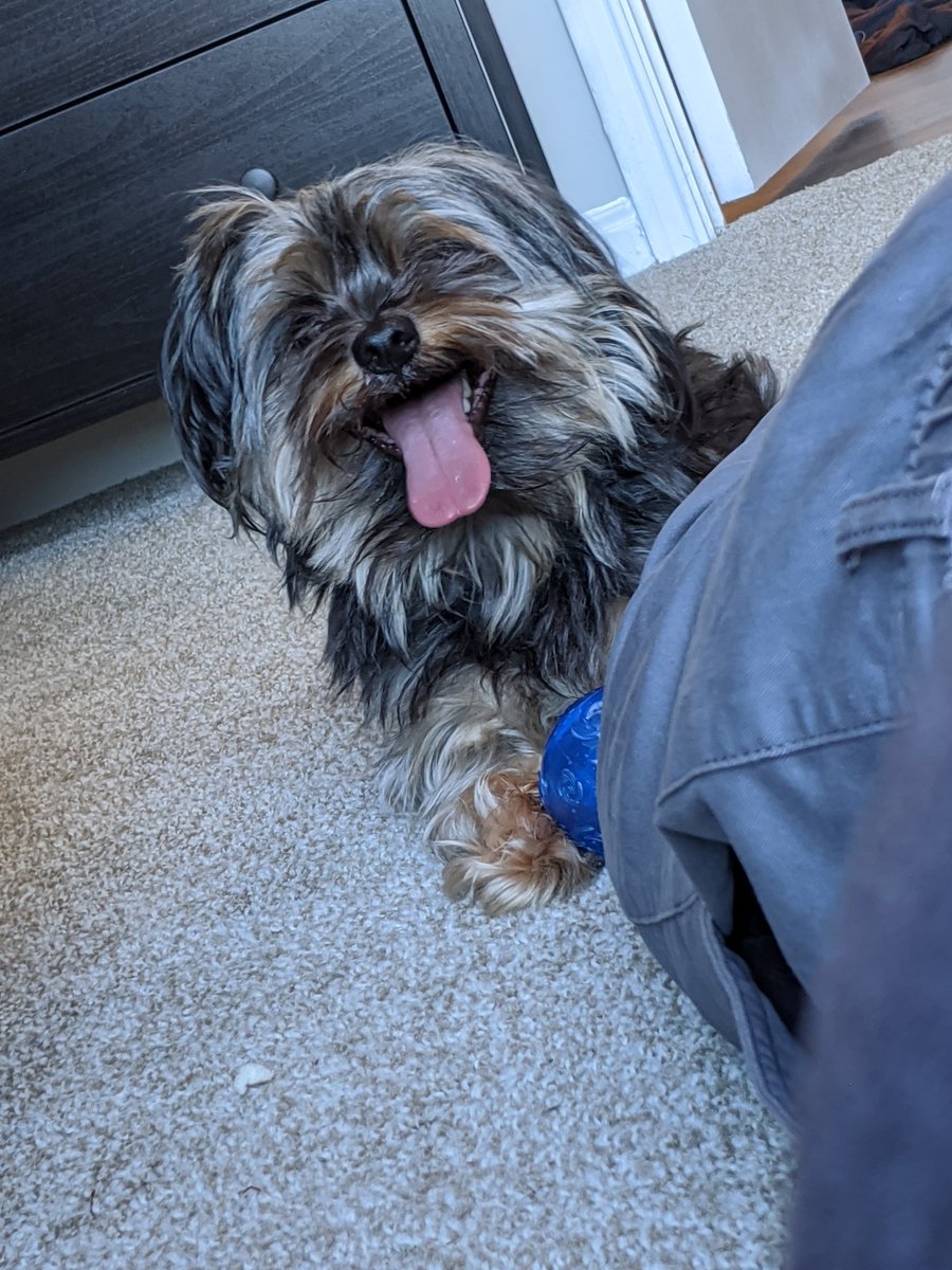 SPLMunch's tweet image. 