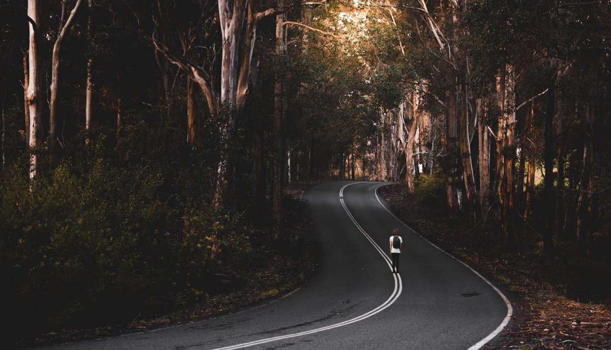BeOutdare's tweet photo. Choose to travel light this year and leave your bike at home! See our list of available bikes on https://t.co/xFk1BiQFWD and rent online the bike you need.
#beoutdare #rentriderepeat #rentsportequipment #fromwhereirent  #cyclinglifestyle #goneriding #cyclingportugal #cyclingspain https://t.co/EHu88sCBOx