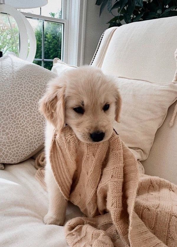 pictures (@pictures) on Twitter photo 