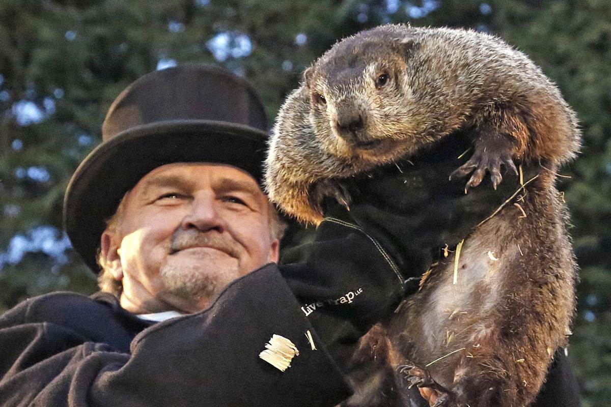 CoachKirwan's tweet photo. HAPPY GROUNDHOG DAY...Well, every 3 out of 4 hogs say “Early Spring”! Must be in MIAMI. Hope @Chiefs win it all so we can celebrate this day (over&over) for remainder of school year. At least have no school on Wednesday. Had my cereal today & I’m ready! #15 #AndyR #SuperBowlLIV https://t.co/saVtYELgJY