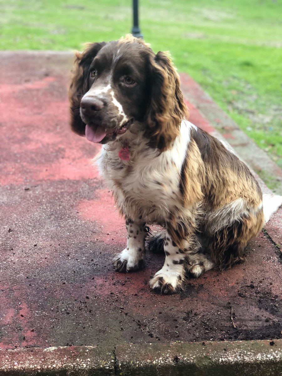 Hasta siempre Brus. Siempre te recordaré. Gran compañero y fenomenal amigo. Adios Brusillo.