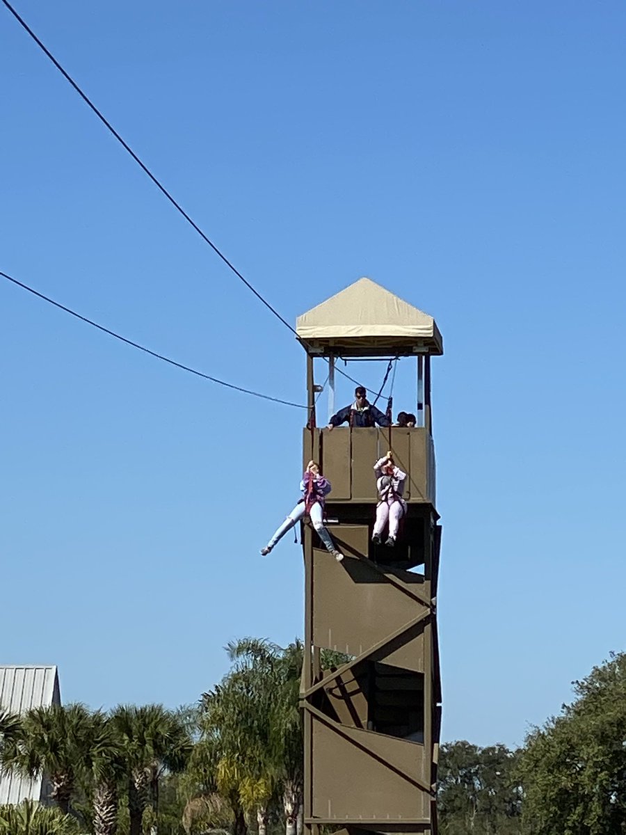 paola valcarcel tweet media