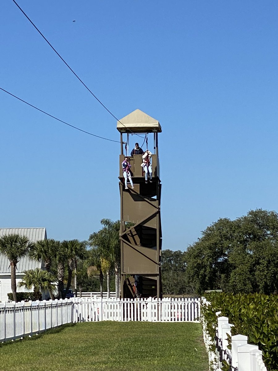 paola valcarcel tweet media