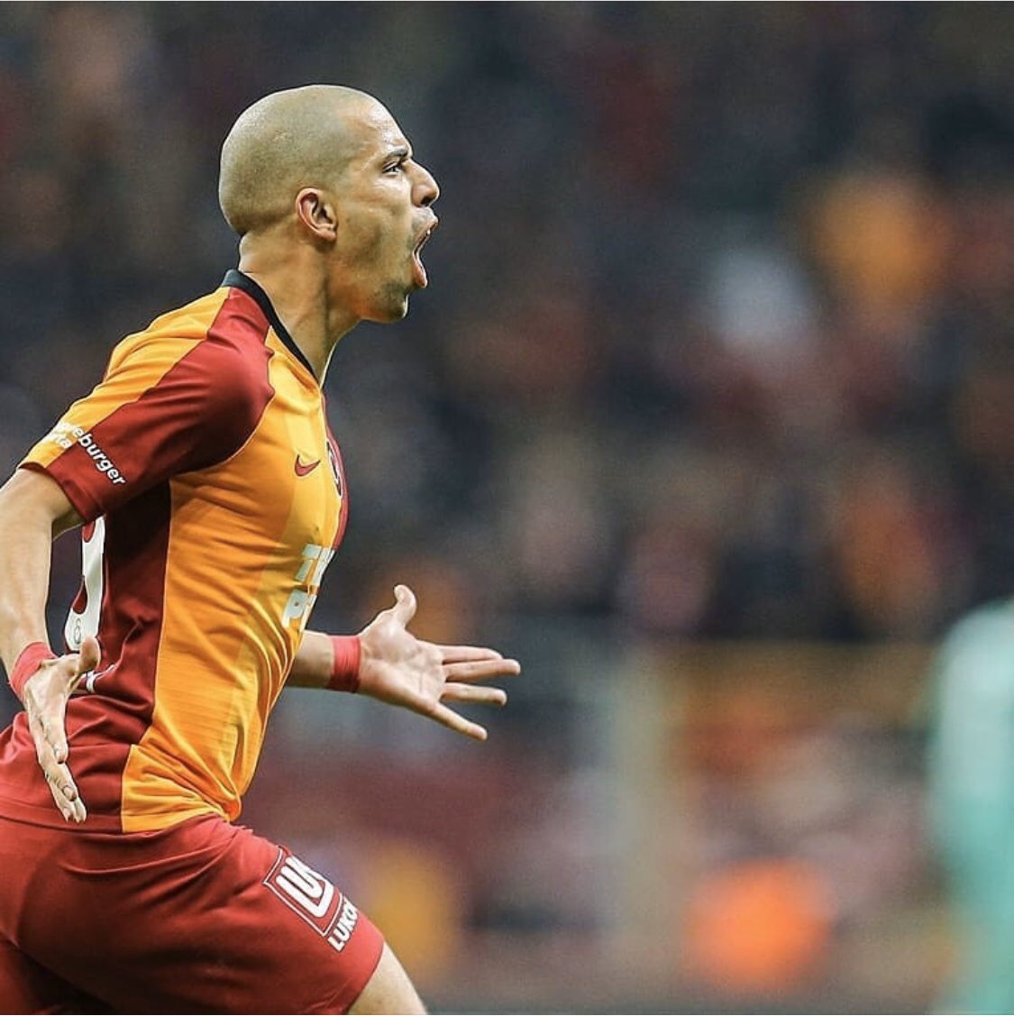 sffeghouli's tweet photo. ✊🏼🦁⚽️⚽️ Muhteşem bir akşamdı, tüm takıma ve olağanüstü taraftarlarımıza bravo 👊🏻 Superbe soirée bravo à toute l’équipe et à nos fantastiques supporters 👊🏼❤️💛 #alhamdulillah #galatasaray #dz #hedef23 https://t.co/Qx6rPSVEYe