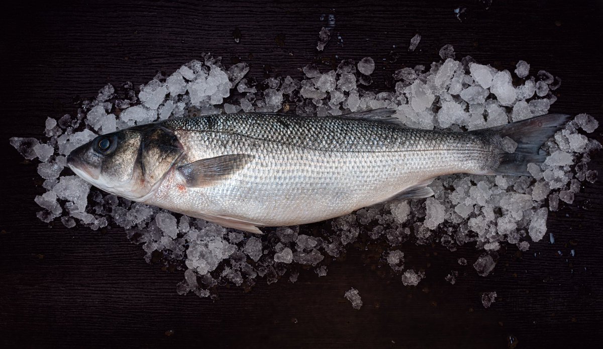 Seven Park Place tweet media