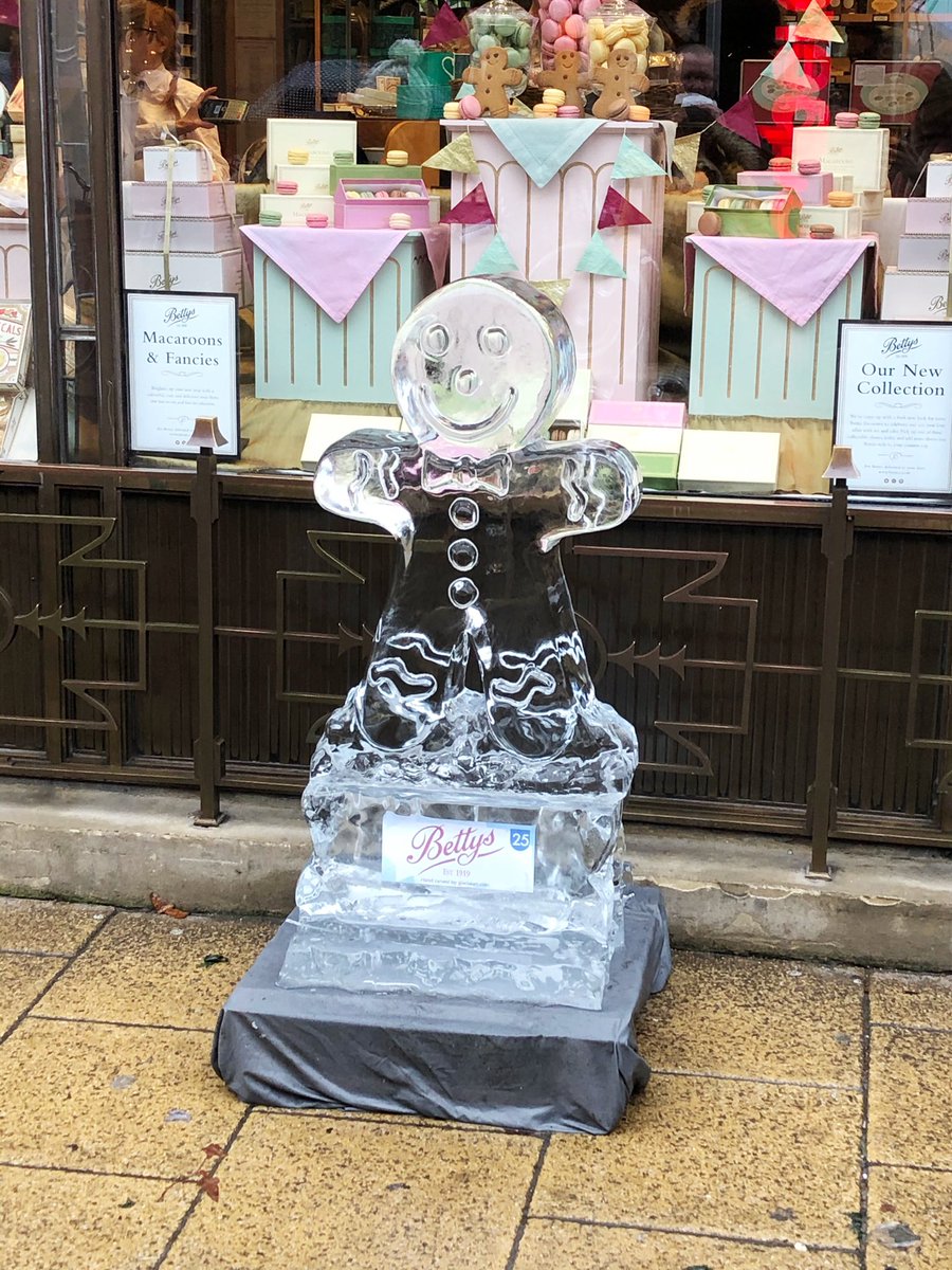 TheYorkNewbie tweet media