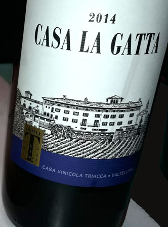 Malditovino's tweet photo. Vuelve el Nebbiolo a Medianias. Te falta algo de tiempo con estos vinos pero si van bien, sin miedo, no durarán. Intenso, potente, y ya vislumbra esas violetas y frambuesas o chocolates. #Enosicoticos #Triacca #CasaLaGatta #wine #vino El reserva 2012 es una bomba para masticar https://t.co/n0KiapGyh0
