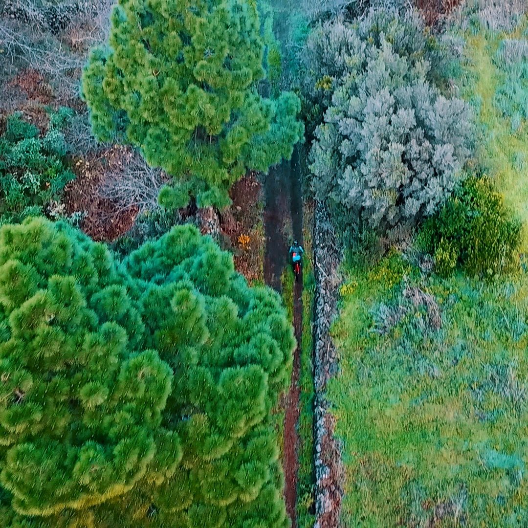 Visto desde arriba dan ganas de bajar 
Paraíso MTB La Palma 
Bike El Paso 2020