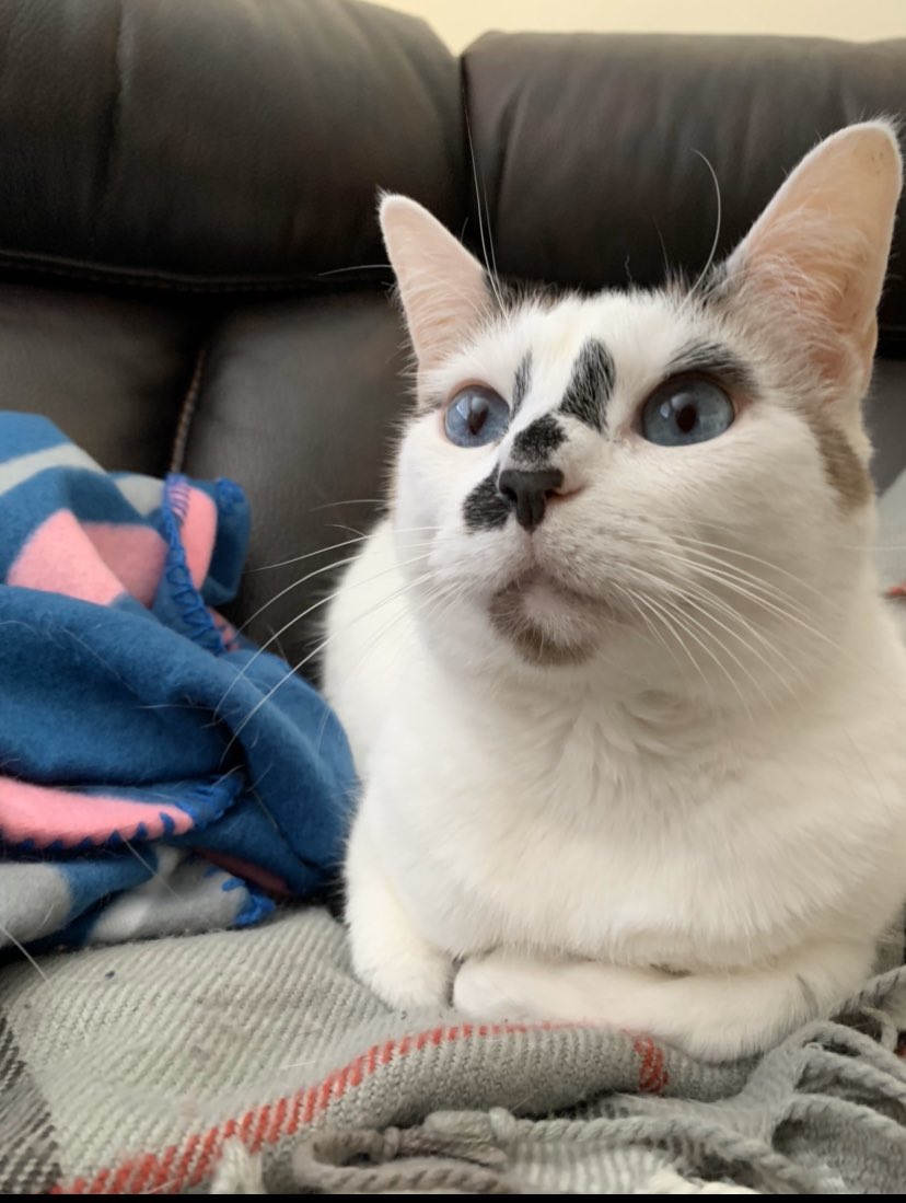 Jesse 🇺🇦🇺🇦🇺🇦 tweet media