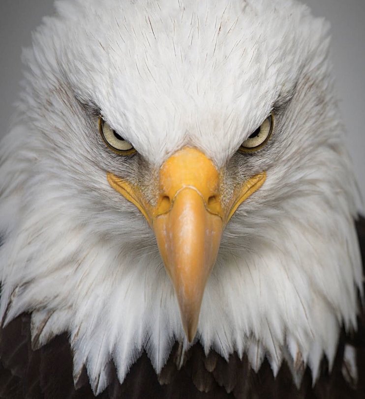 Rebirthone's tweet image. Stay focused #ANewBeginning