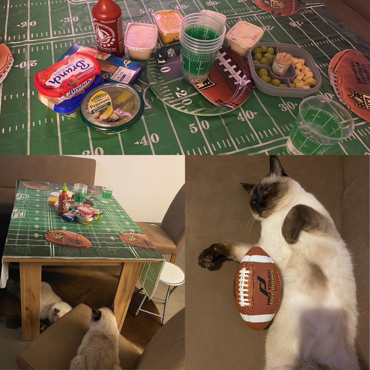 Kexsy1's tweet photo. Auf gehst!!! Alle sind schon aufgeregt 😍🏈😍🏈😍🏈 #ran #ranNFL #ranNFLMiami #rannflsüchtig #jedenverdammtensonntag #SuperBowl #SuperBowl2020 #nobrady #häwarumspielenheutediepatriotsnicht #JLoSuperBowl #ShakiraSuperBowl2020 https://t.co/6AAFf3AEsW