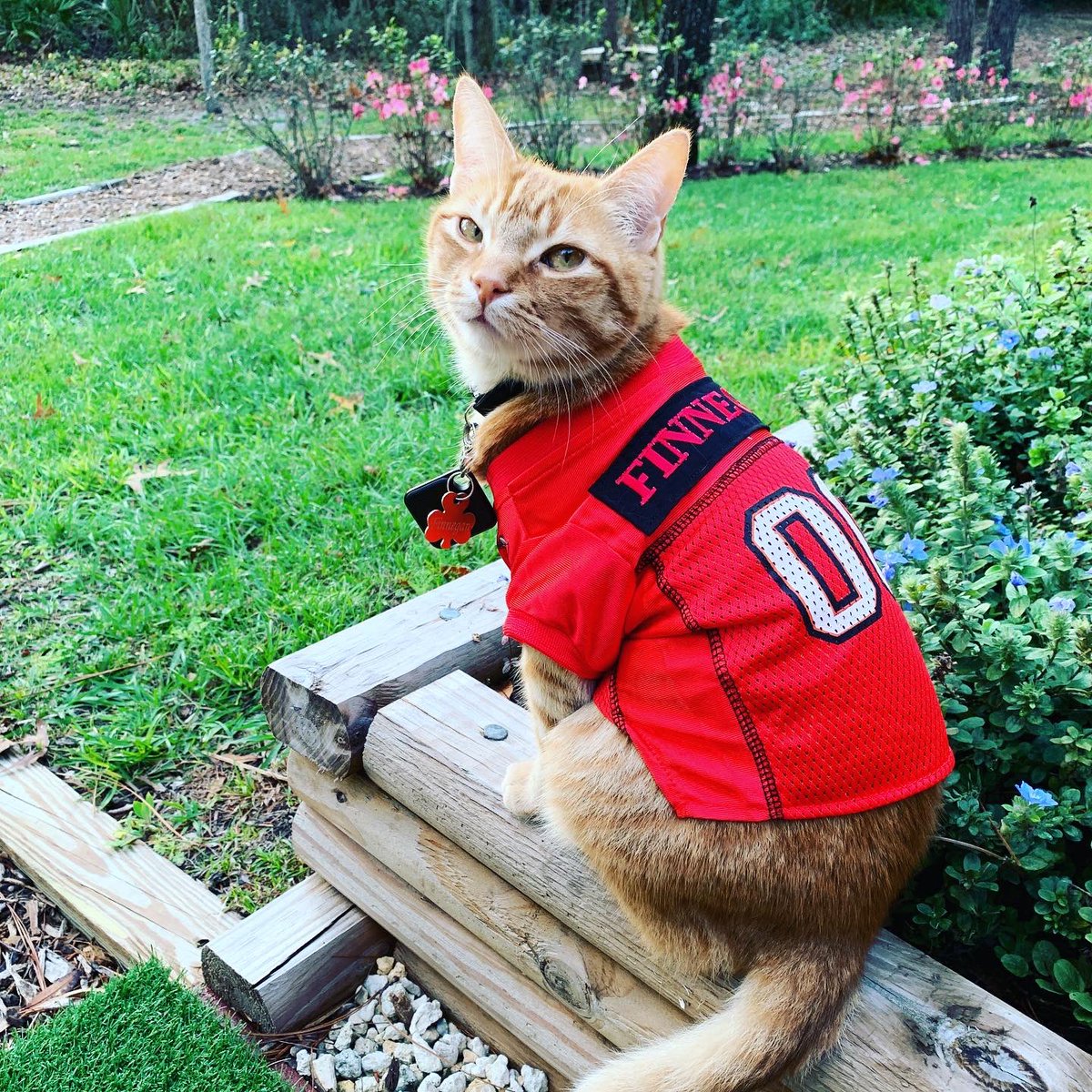 Meredith Myers tweet media