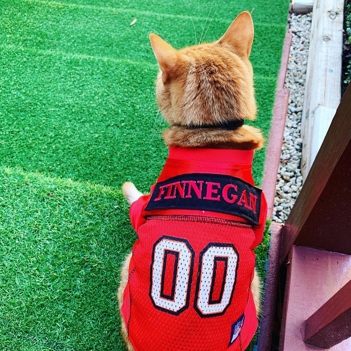 Meredith Myers tweet media