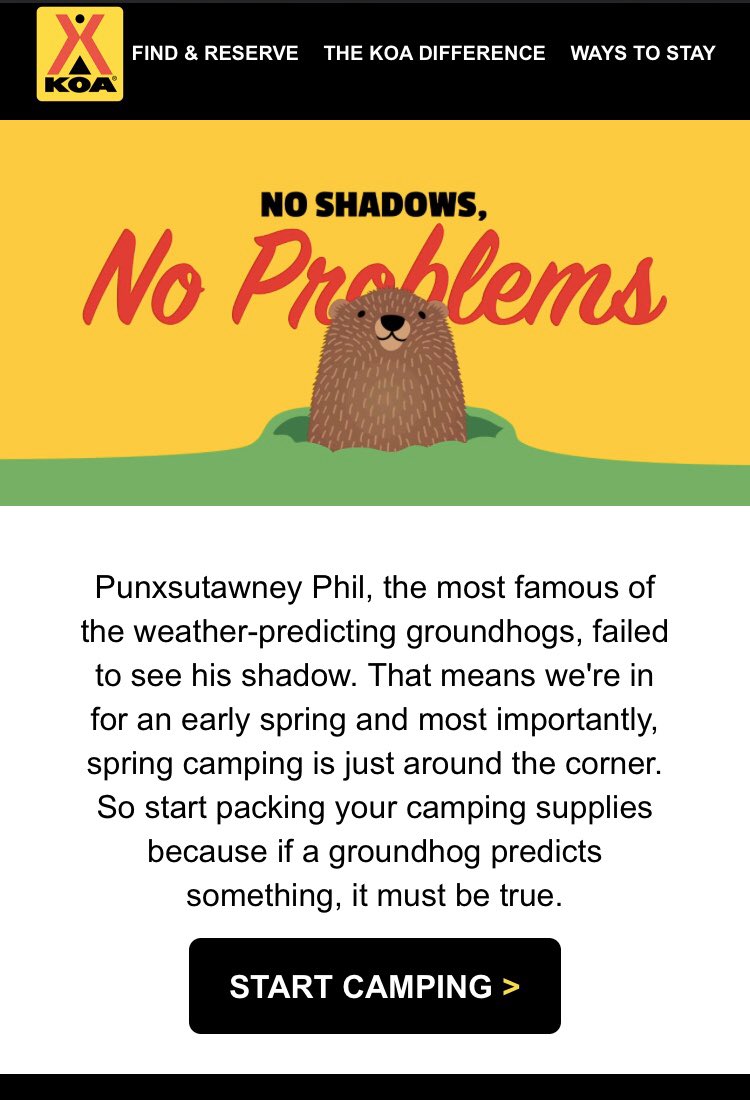 Tricia Inniger tweet media