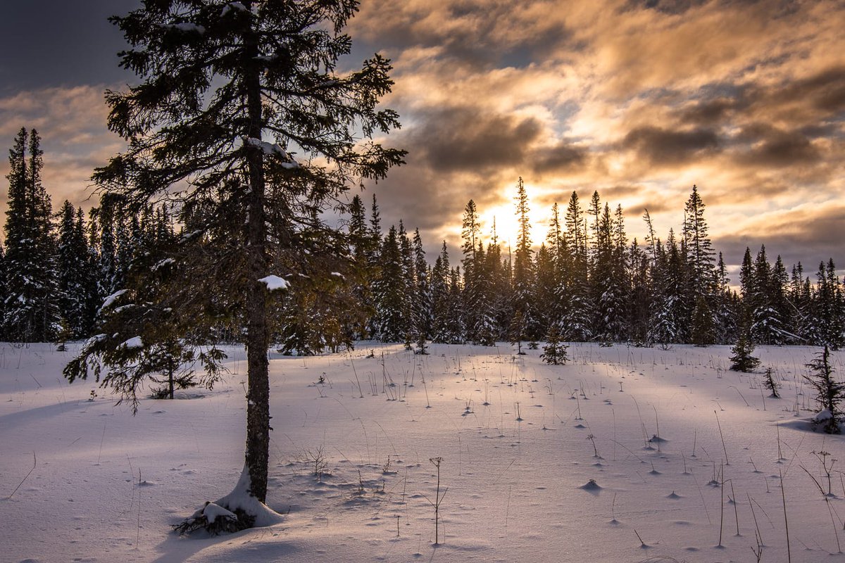 VetRun180's tweet photo. CAPTURE THIS // Not a bad view this afternoon! Thank you to one of our veterans @simongreenphotos for capturing this setting so perfectly.
.
.
#adventuretherapy #simongreenphotography #veteranstogether #veteranscharity #skidooing #vetrun180 #royalmarines #army #navy #raf https://t.co/iNPkEEnJCK