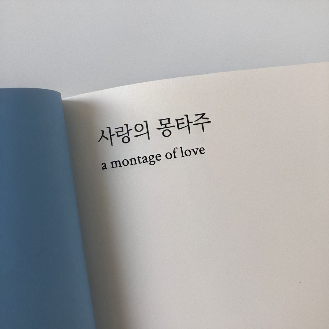 oxrdinary's tweet photo. ㅤㅤㅤㅤ https://t.co/oErNhvWxXN