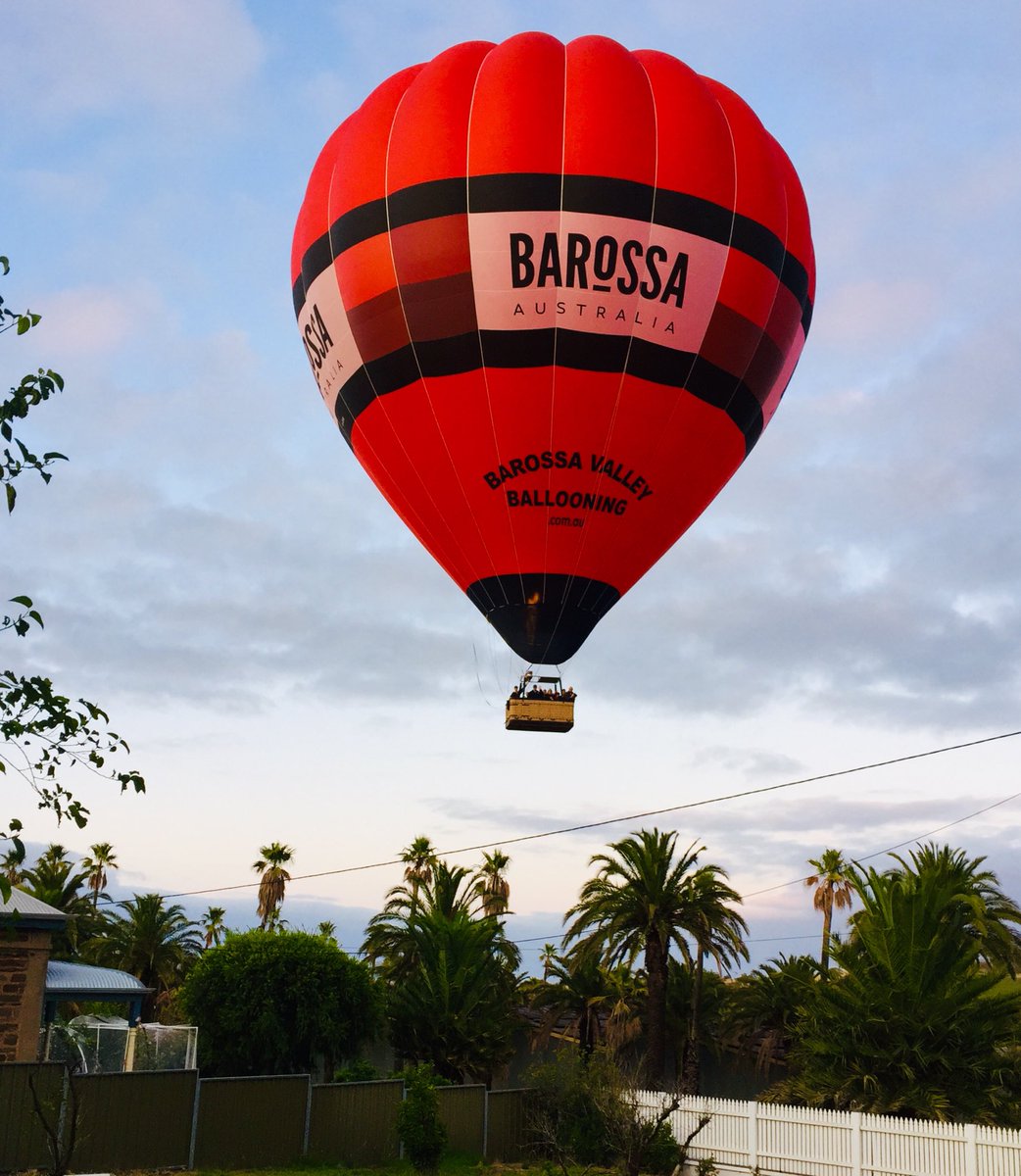 BVBallooning tweet media