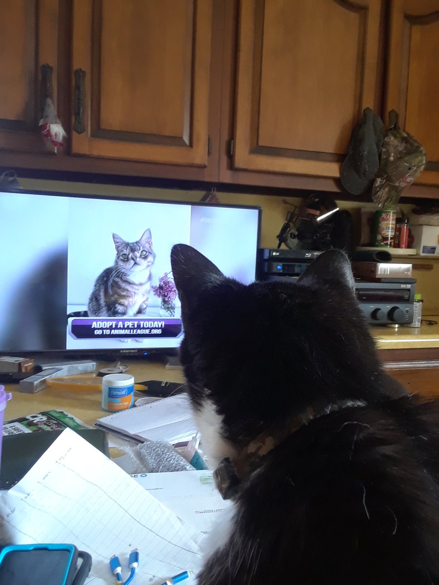 Shayne Gilley tweet media