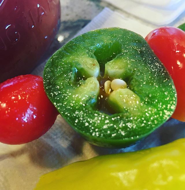 busyframes's tweet image. Sat down for brunch and realized I forgot my wallet at home. On my way out the door, I found the $115 I lost. I’d like to think they didn’t card me for this blood Mary because they appreciated the arc of my story, not because of my grey hair. ift.tt/3b9bT0y