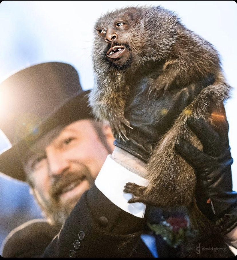 Beetlejuice Green tweet media