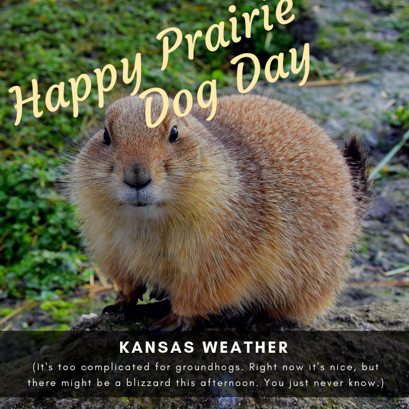 cityofmhk's tweet photo. Spring today - snow on Tuesday. I don't know if the groundhog is trustworthy. We need a local rep to tackle Kansas weather. #PrairieDogDay https://t.co/3k3FjVBGuk