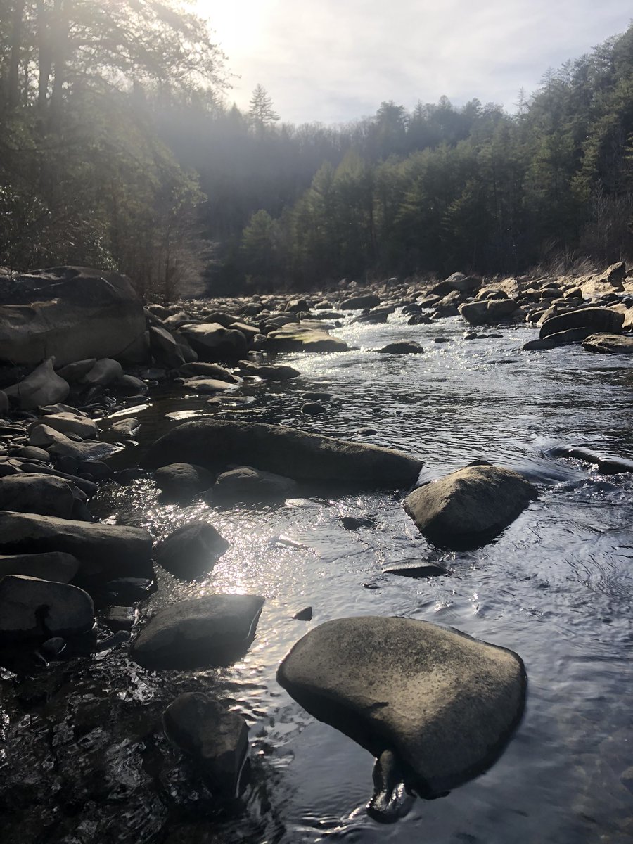 MarlettDon's tweet image. I am enjoying a trail run before spending the week with @dade_schools and @IndianRiverDE. I am looking forward to great conversations around connecting high yield learning strategies.  #greatful to be a part of the journey.  #adaptivethinking