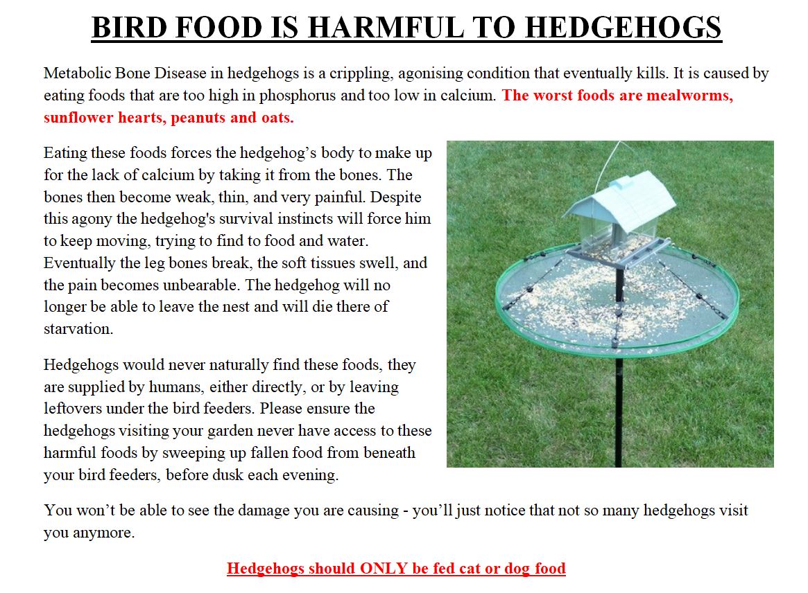 4. You may not know that hedgehogs visit your garden, so please clean up spilled bird food before dusk and put out a dish of dry cat food, just in case. That small effort and tiny cost may seem like nothing much to you, but it could mean the whole world to a starving hedgehog.