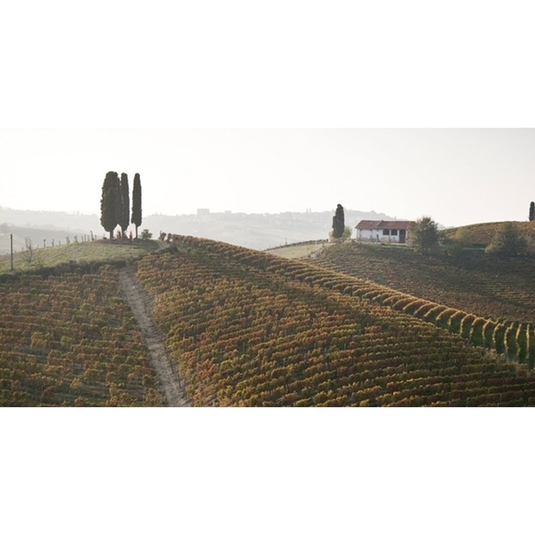 Michele Chiarlo acquired two new vineyards Montemareto and Moncucco Cavino. Both located in the central sector of Nizza DOCG.
#Wine #ItalianWine #Italy #KobrandWines #WineFacts