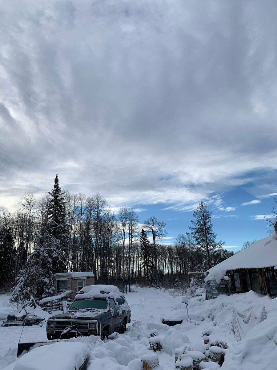 kaycatherine_'s tweet photo. My winter so far ๐โ #woodprocessor #businessowner #offthegrid #adventures #walks #ourdriveway #Winterwonderland #northernontario https://t.co/rz1j99C00B