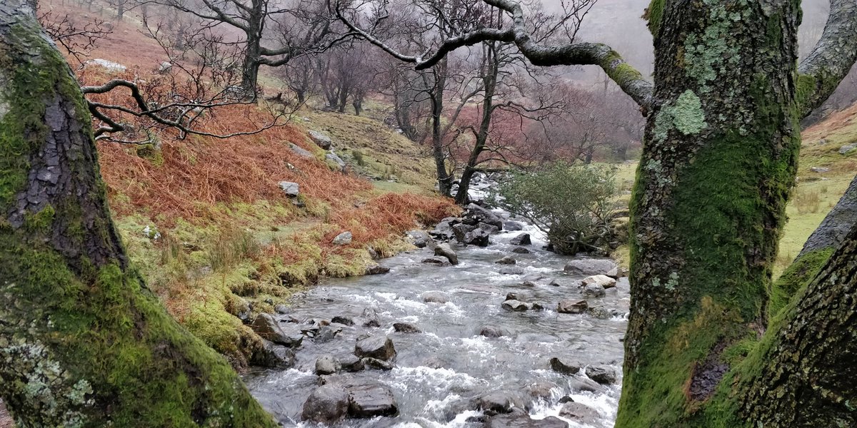 Dovedale Beck
