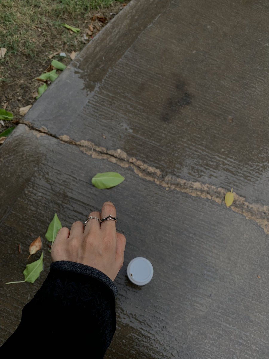 بشاير tweet media