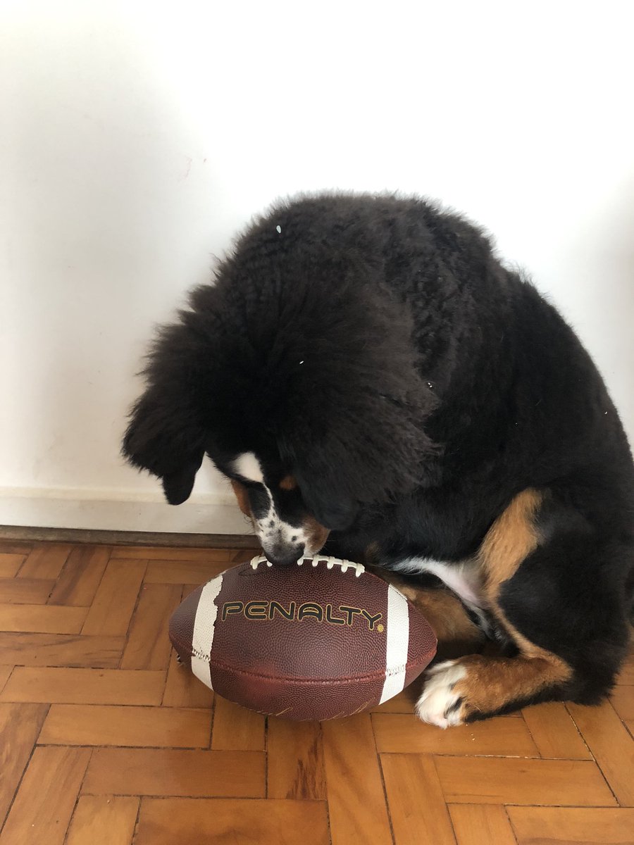 lahdamato's tweet photo. Zelda preparada pro #superbowlnaespn ✌🏻 https://t.co/8CiBuPkeIW